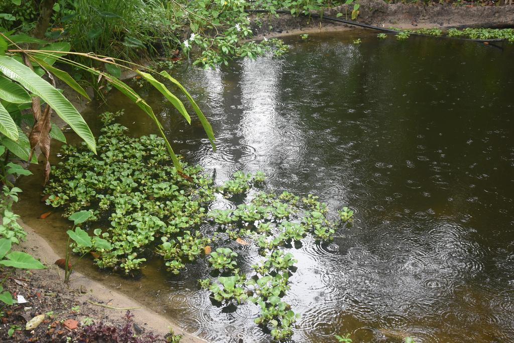 Marari Bethsaida Homestay Shertallai Exteriör bild