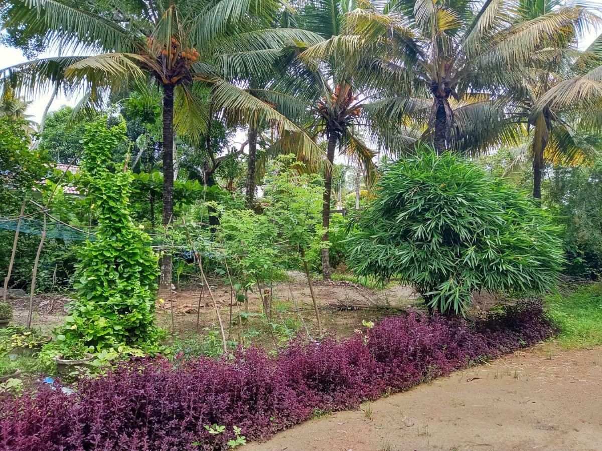 Marari Bethsaida Homestay Shertallai Exteriör bild